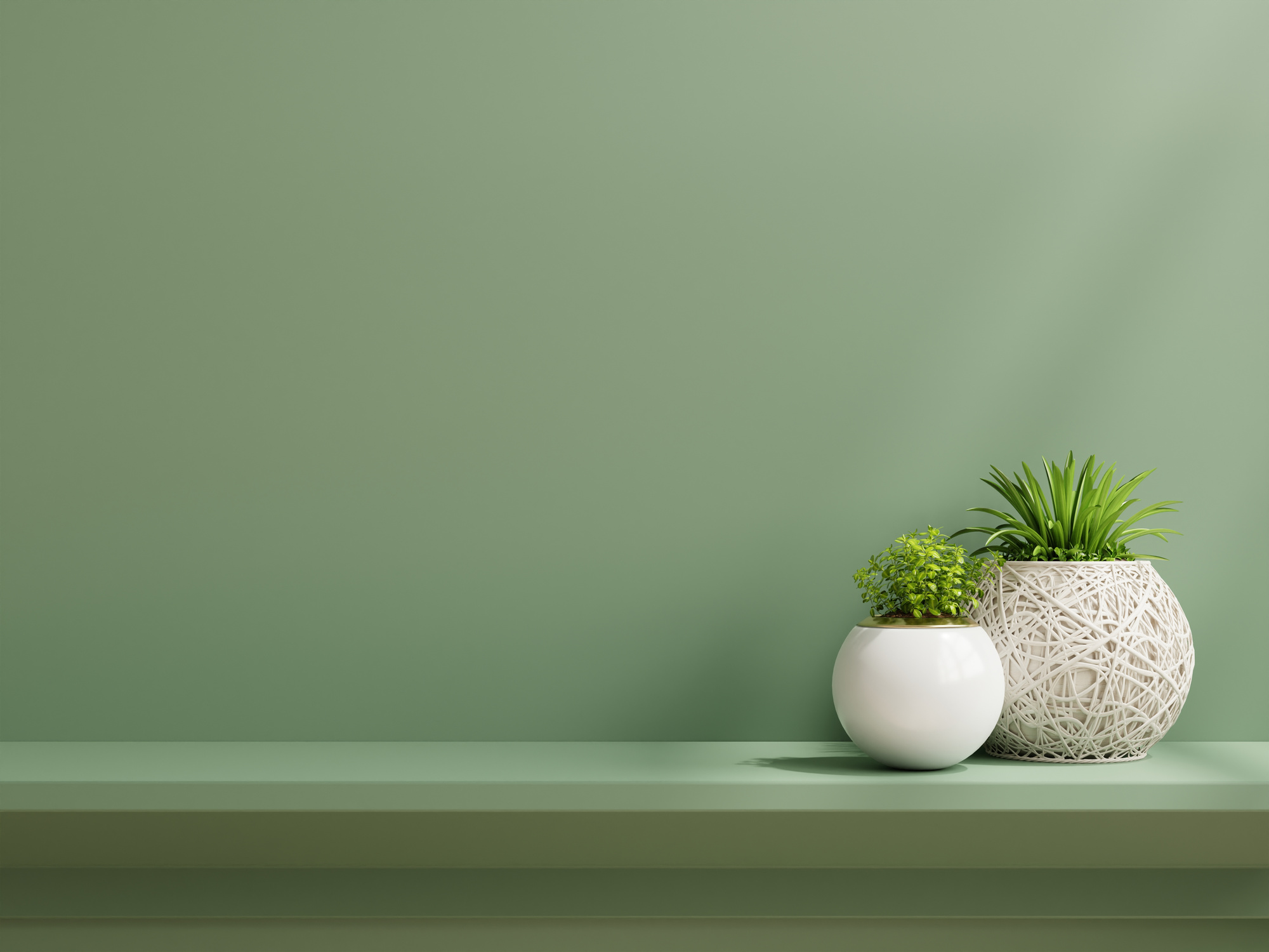 Interior Wall Mockup with Plants, Green Wall and Shelf