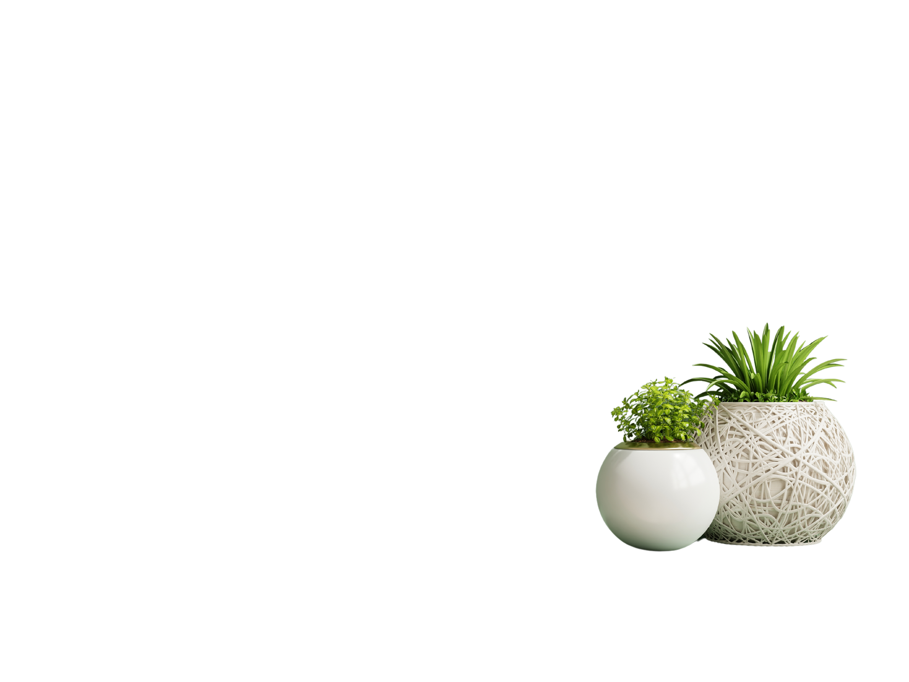 Interior Wall Mockup with Plants, Green Wall and Shelf